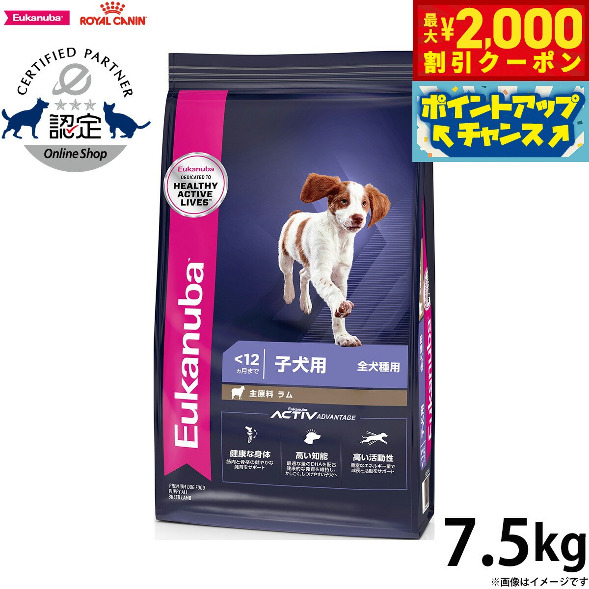 【最大2000円OFFクーポン！＆店内ポイント最大55倍！本日限定！】ユーカヌバ Eukanuba  ...