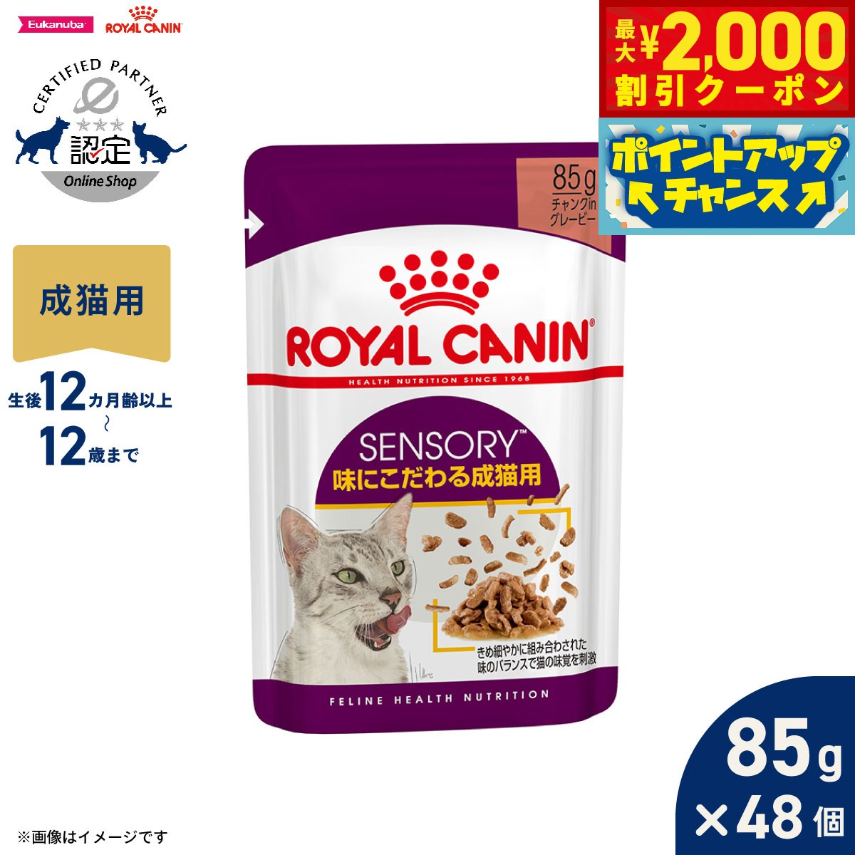 【最大2000円OFFクーポン！＆店内ポイント最大55倍！本日限定！】ロイヤルカナン 猫 キャットフード フィーラインヘルスニュートリション ウェット センサリー 味にこだわる成猫用 85g×48袋【送料無料】 正規品 猫専用ウェットフード 成猫用
