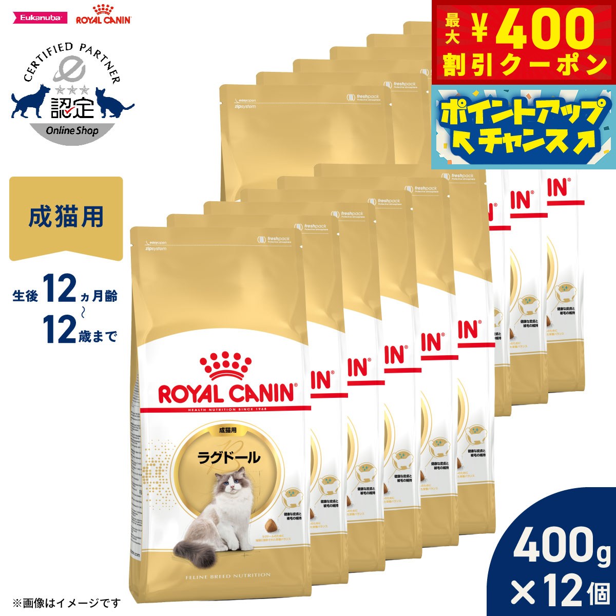 【400円OFFクーポン！＆店内ポイント最大42倍！3月1日！】ロイヤルカナン 猫 キャットフード フィーラインブリードニュートリション ラグドール専用フード 成猫用 400g×12袋 正規品