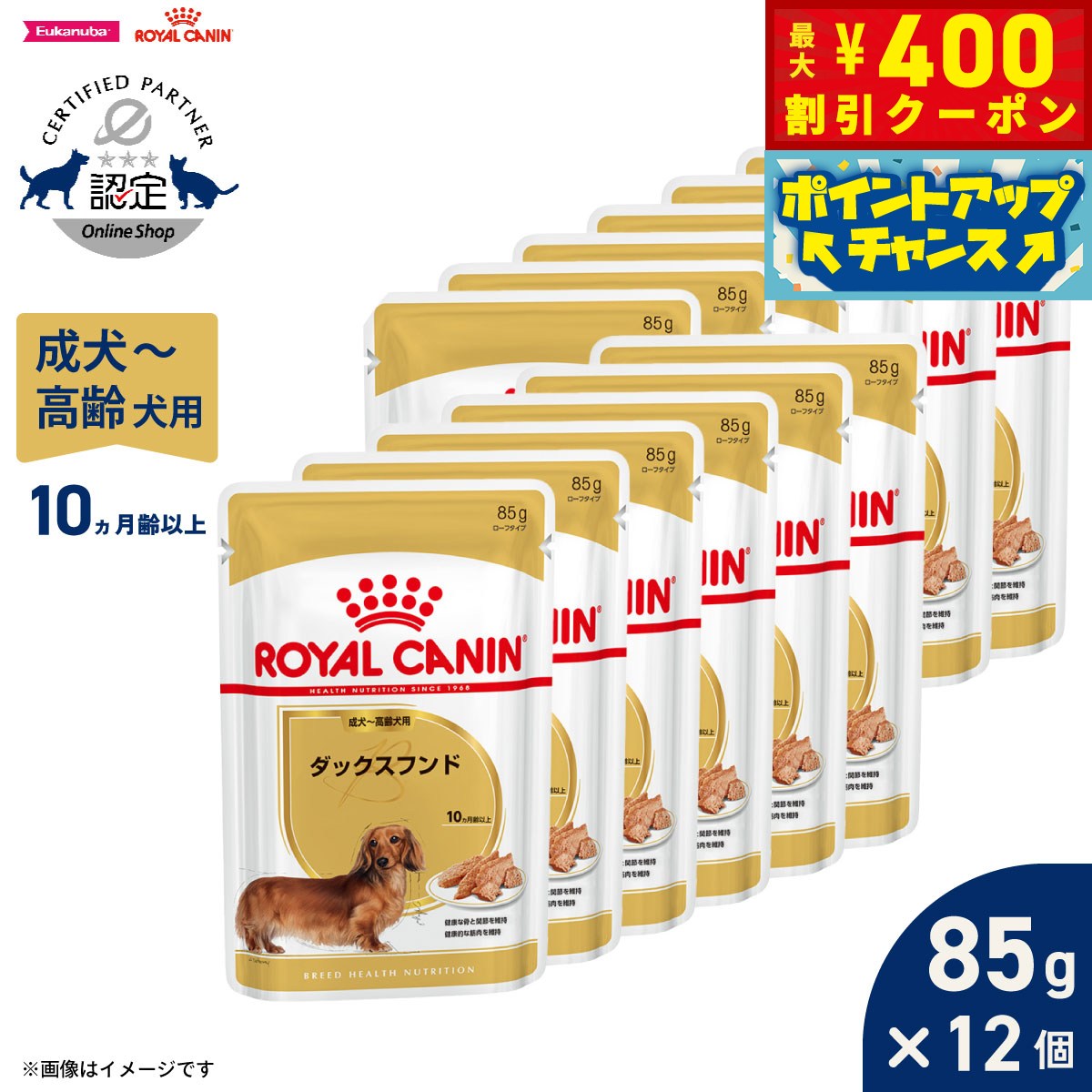 【400円OFFクーポン！＆店内ポイント最大42倍！本日限定！】ロイヤルカナン 犬 ドッグフード ブリードヘルスニュートリション ウェット ダックスフンド専用ウェットフード 成犬〜高齢犬用 85g×12袋 正規品