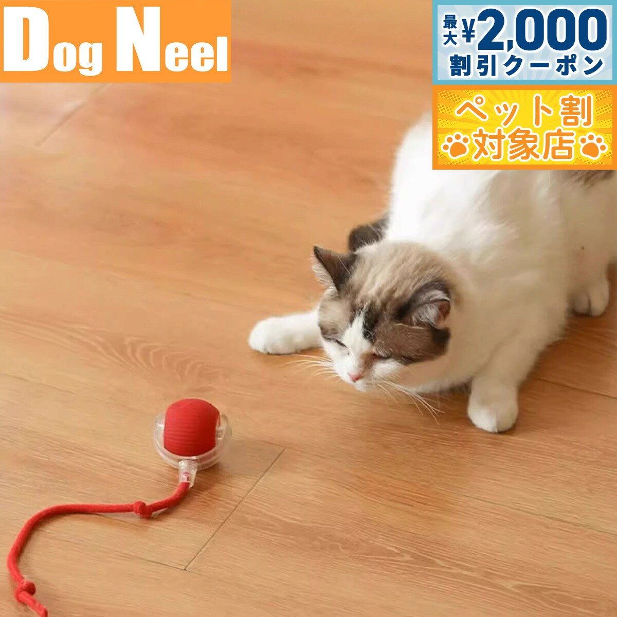 �ں���2000��OFF�����ݥ󡪡�Ź��ݥ���Ⱥ���64�ܡ��������ꡪ��DOG NEEL �ɥå��ˡ��� ǭ�Τ������ ��ư��ư���ԥܡ��� �Ҥ��դ�