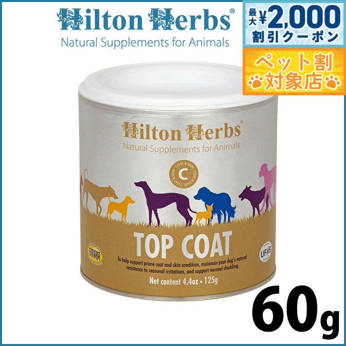 �ں���2000��OFF�����ݥ󡪡�Ź��ݥ���Ⱥ���60�ܡ������ѡ�SALE���ۥҥ�ȥ�ϡ��� �ȥåץ����� 60g ���ץ���� �ϡ��� ���� ���ӤΥ��ݡ���