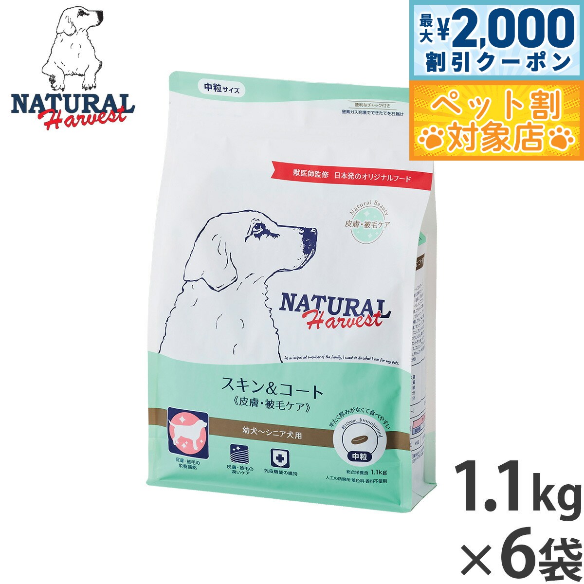 �ں���2000��OFF�����ݥ󡪡�Ź��ݥ���Ⱥ���62�ܡ������ѡ�SALE���ۥʥ�����ϡ��٥��� �ɥå��ա��� ������������� ���� ���ӥ��� 1.1kg��6...