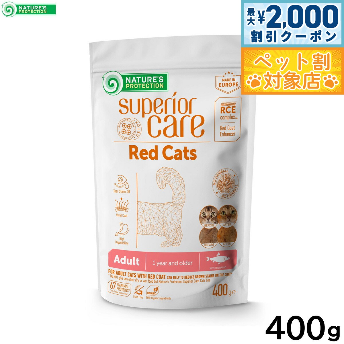 �ں���2000��OFF�����ݥ󡪡�Ź��ݥ���Ⱥ���60�ܡ������ѡ�SALE���ۥͥ����㡼���ץ��ƥ������ ����åȥա��� ��åɥ���å� ������� 400g����...