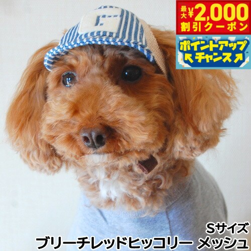 【最大2000円OFFクーポン！＆店内ポイント最大52倍！本日限定！】犬の帽子 ガーデンオブエデン デニム＆ヒッコリーキャップ S ブリーチレッドヒッコリー メッシュ【送料無料】