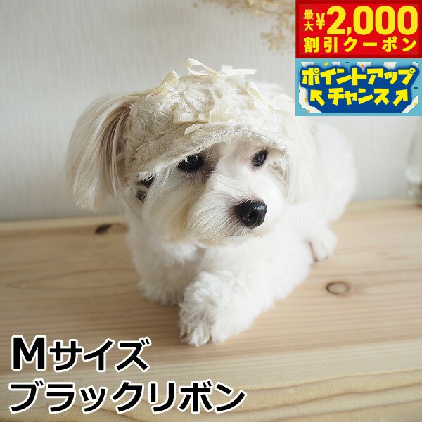 【最大2000円OFFクーポン！＆店内ポイント最大52倍！本日限定！】犬の帽子 ガーデンオブエデン リボンキャスケット M ブラックリボン おしゃれ 可愛い 小型犬