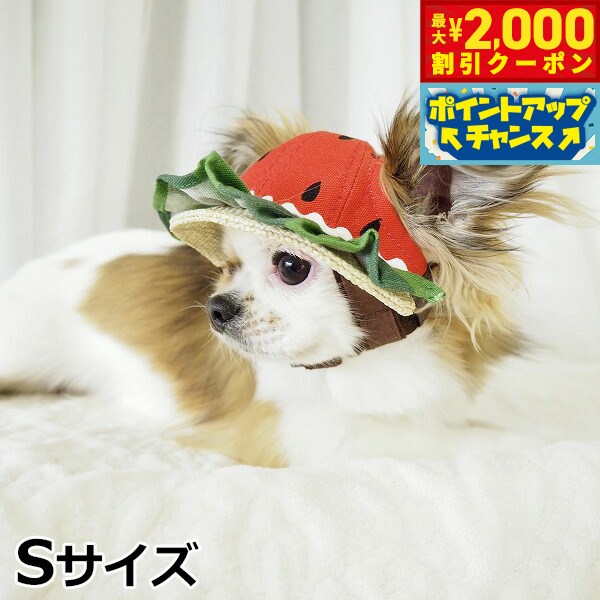 【最大2000円OFFクーポン！＆店内ポイント最大52倍！本日限定！】犬の帽子 ガーデンオブエデン すいかフリルハット Sサイズ