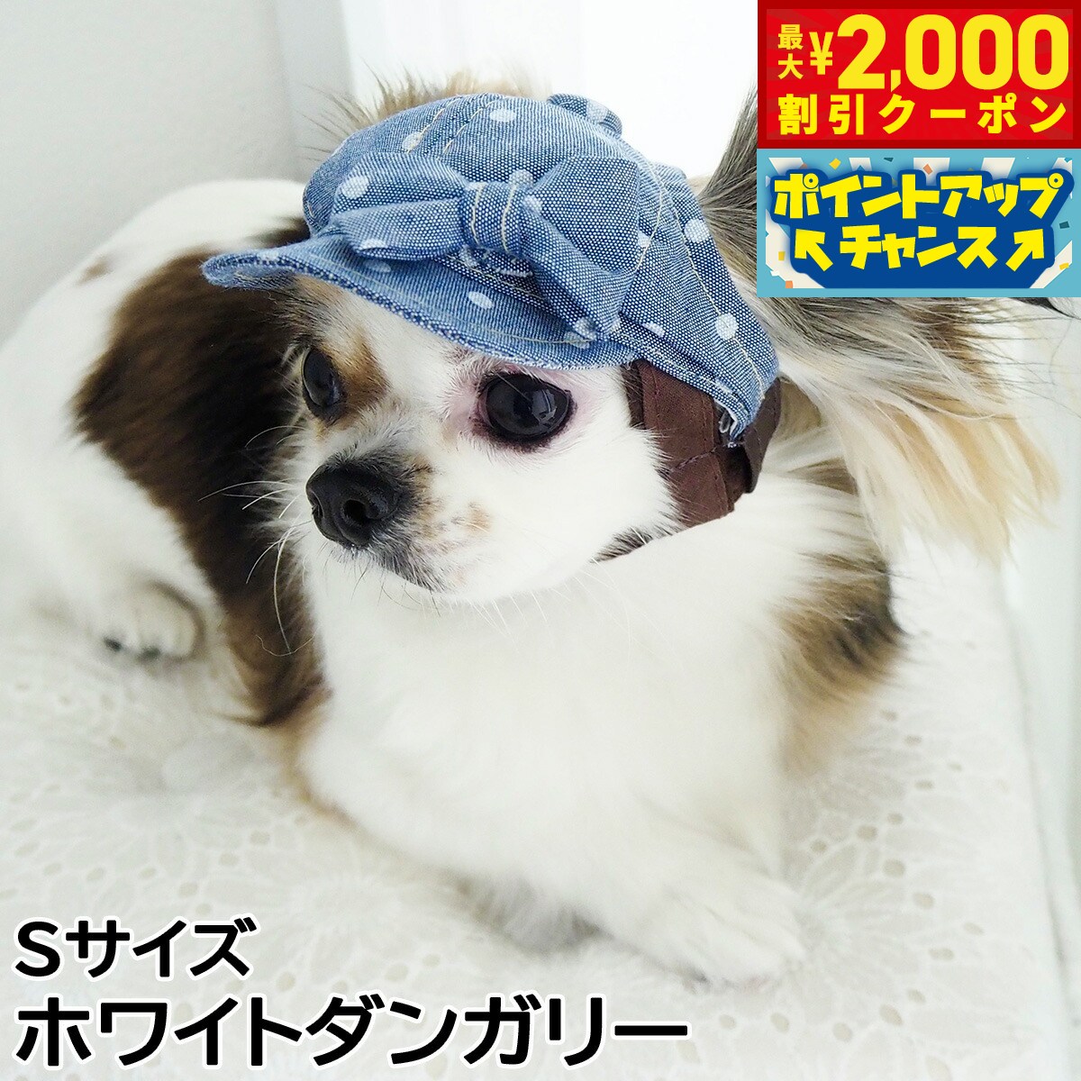 【最大2000円OFFクーポン！＆店内ポイント最大52倍！本日限定！】犬の帽子 ガーデンオブエデン ドットリボンキャスケット Sサイズ ホワイトダンガリー