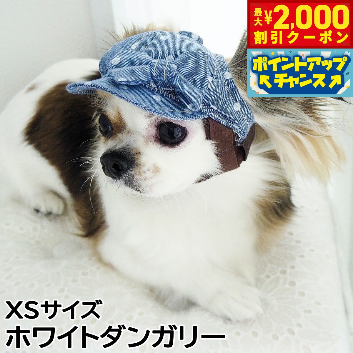 【最大2000円OFFクーポン！＆店内ポイント最大52倍！本日限定！】犬の帽子 ガーデンオブエデン ドットリボンキャスケット XSサイズ ホワイトダンガリー
