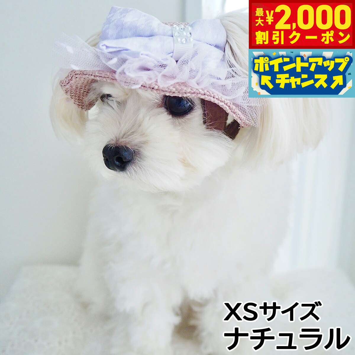【最大2000円OFFクーポン！＆店内ポイント最大52倍！本日限定！】犬の帽子 ガーデンオブエデン りぼんチュールハット XSサイズ ナチュラル