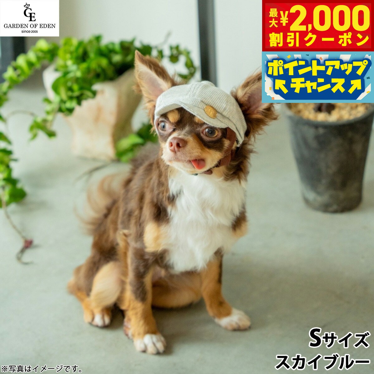 【最大2000円OFFクーポン！＆店内ポイント最大52倍！本日限定！】犬の帽子 ガーデンオブエデン オーガニックコットンキャスケット S スカイブルー 熱中対策 紫外線防止 日除け