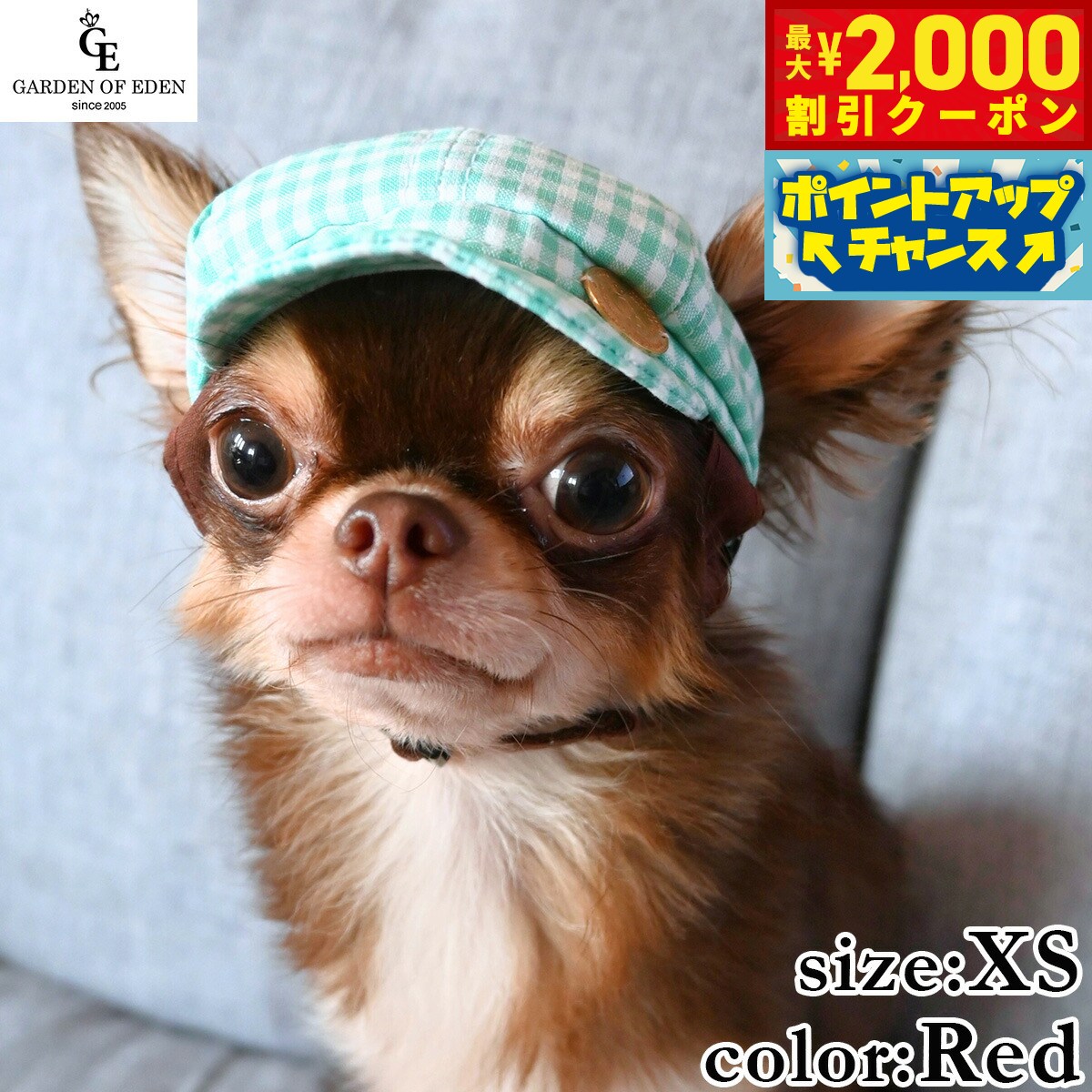 【最大2000円OFFクーポン！＆店内ポイント最大52倍！本日限定！】犬の帽子 ガーデンオブエデン ギンガムチェックキャスケット XS レッド