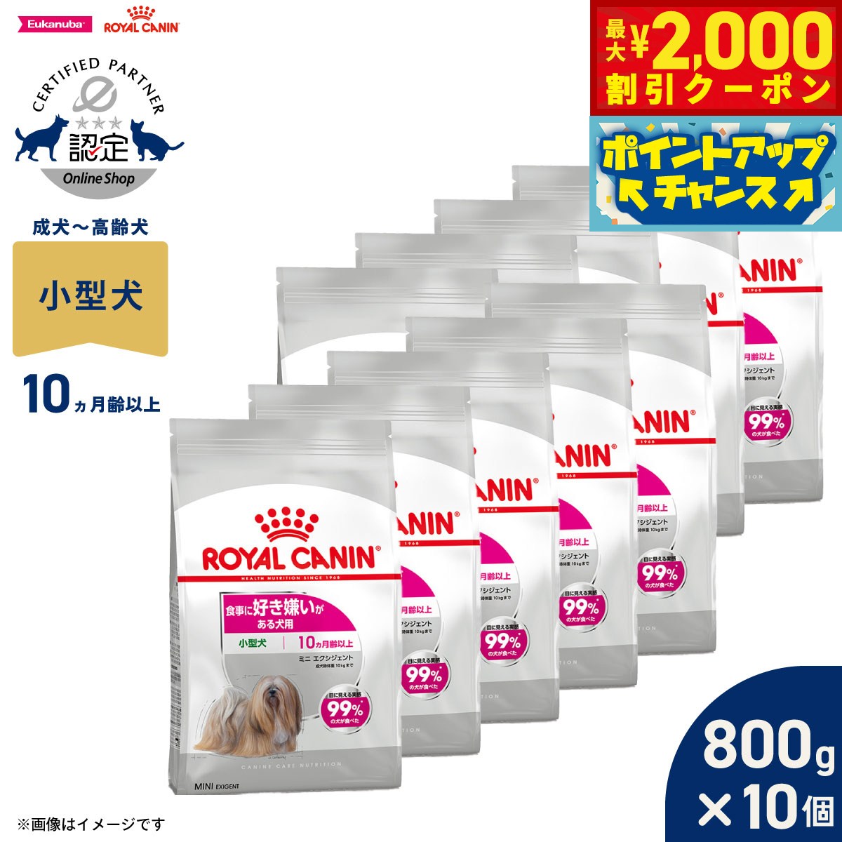 【最大2000円OFFクーポン！＆店内ポイント最大52倍！本日限定！】ロイヤルカナン 犬 ドッグフード ケーナインケアニュートリション ミニ エクシジェント 800g×10個 正規品 食事に好き嫌いがある犬用 小型犬専用 成犬～高齢犬用