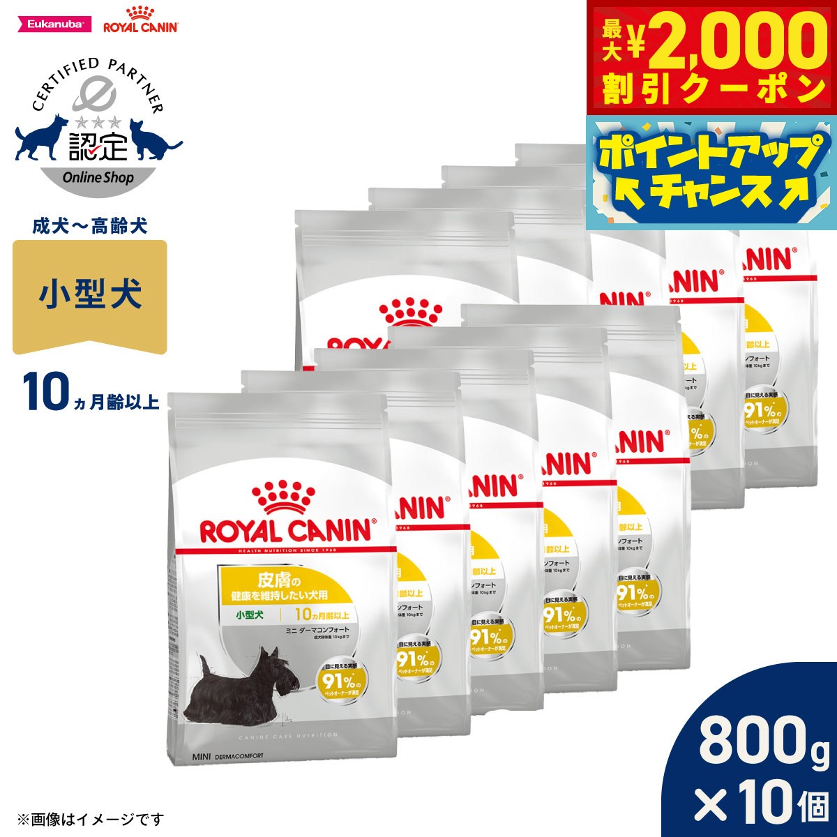 【最大2000円OFFクーポン！＆店内ポイント最大52倍！本日限定！】ロイヤルカナン 犬 ドッグフード ケーナインケアニュートリション ミニ ダーマコンフォート 800g×10個 正規品 皮膚の健康を維持したい犬用 小型犬専用 成犬～高齢犬用