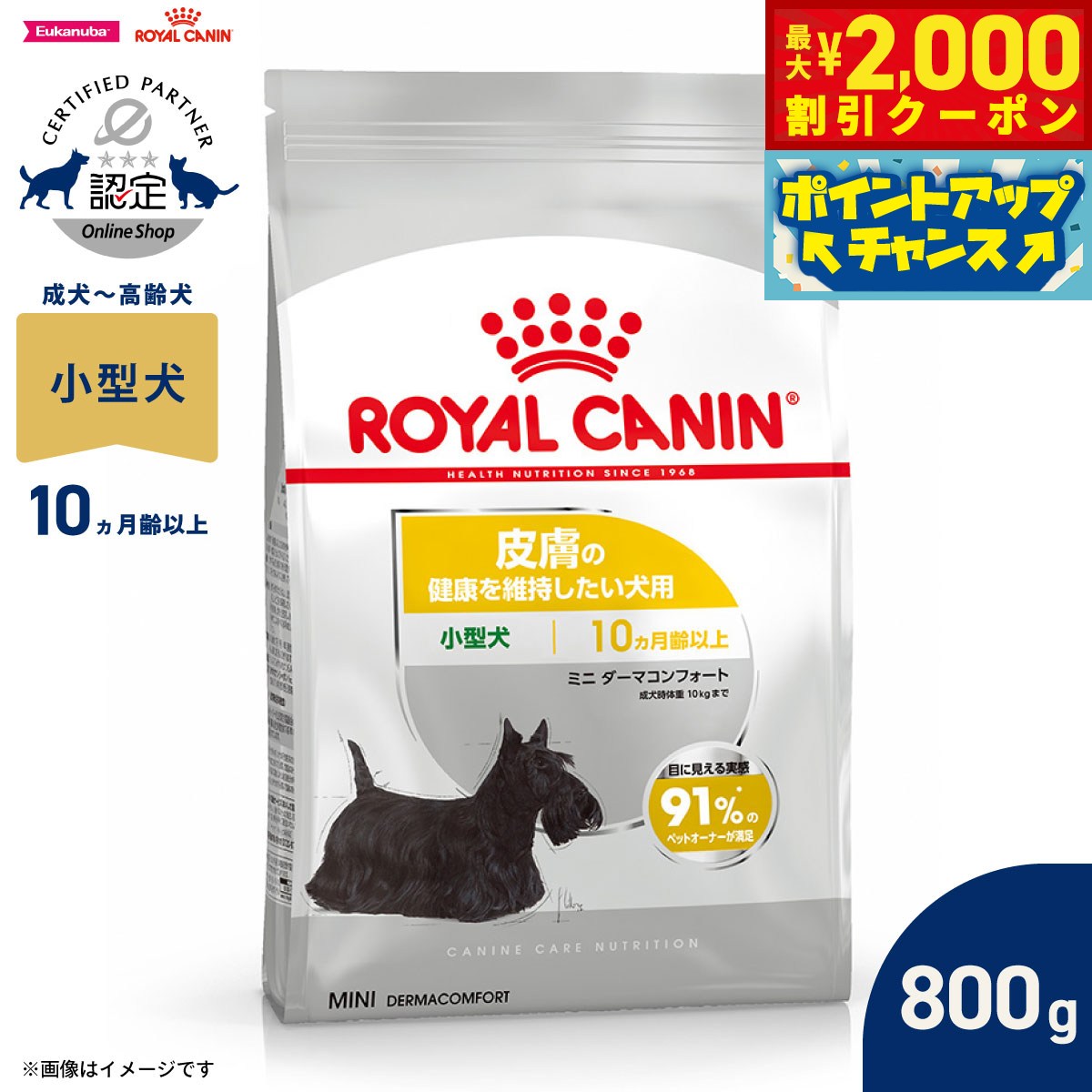 【最大2000円OFFクーポン！＆店内ポイント最大52倍！本日限定！】ロイヤルカナン 犬 ドッグフード ケーナインケアニュートリション ミニ ダーマコンフォート 800g 正規品 皮膚の健康を維持したい犬用 小型犬専用 成犬～高齢犬用