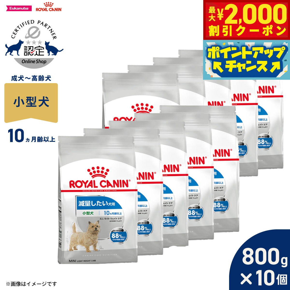 【最大2000円OFFクーポン！＆店内ポイント最大52倍！本日限定！】ロイヤルカナン 犬 ドッグフード ケーナインケアニュートリション ミニ ライト ウェイト ケア 800g×10個 正規品 減量したい犬用 小型犬専用 成犬～高齢犬用