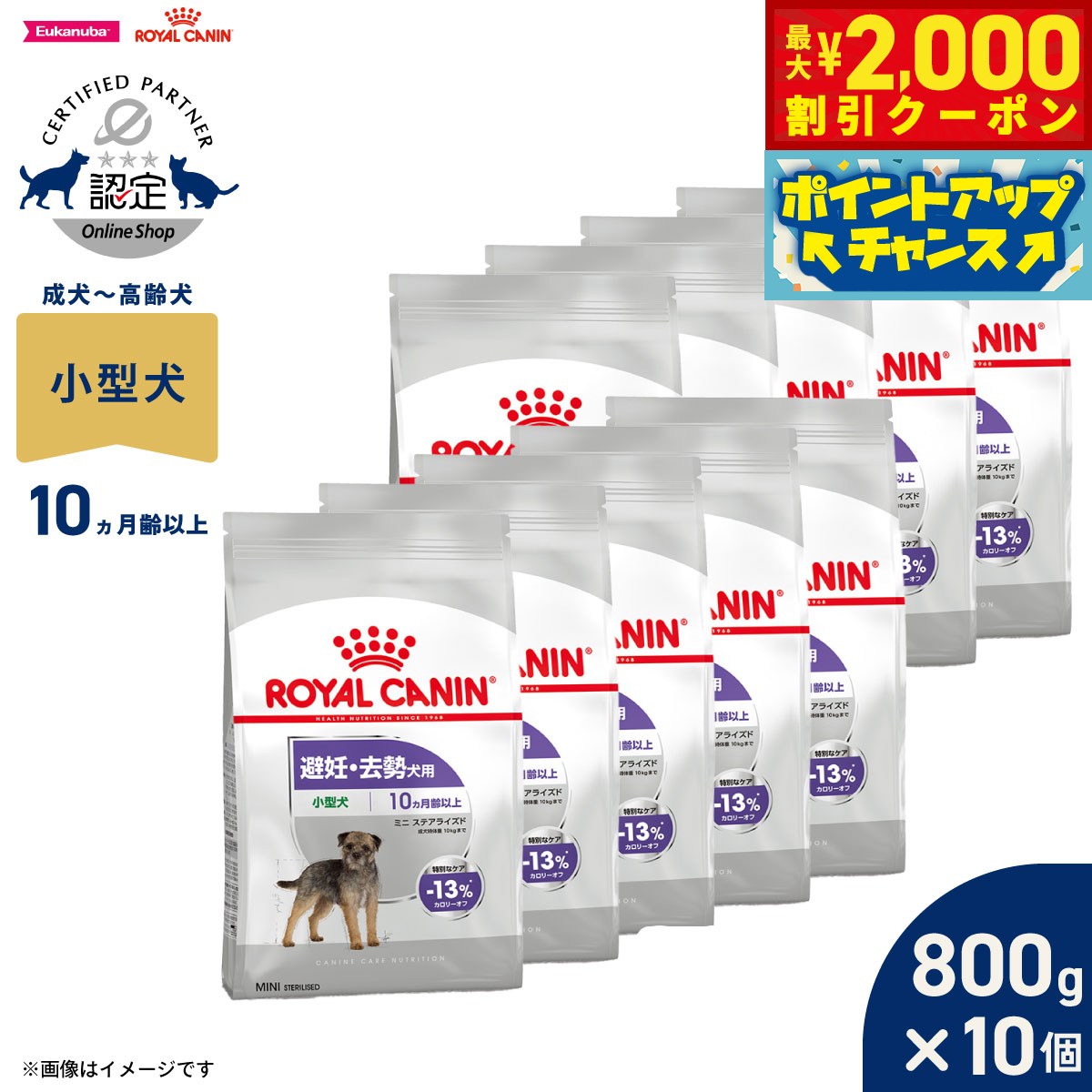 【最大2000円OFFクーポン！＆店内ポイント最大52倍！本日限定！】ロイヤルカナン 犬 ドッグフード ケーナインケアニュートリション ミニ ステアライズド 800g×10個 正規品 避妊 去勢犬用 小型犬専用 成犬～高齢犬用