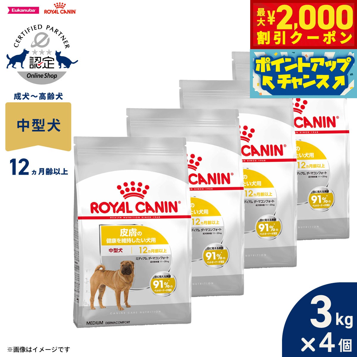 【最大2000円OFFクーポン！＆店内ポイント最大52倍！本日限定！】ロイヤルカナン 犬 ドッグフード ケーナインケアニュートリション ミディアム ダーマコンフォート 3kg×4個 正規品 皮膚の健康を維持したい犬用 中型犬専用 成犬～高齢犬用