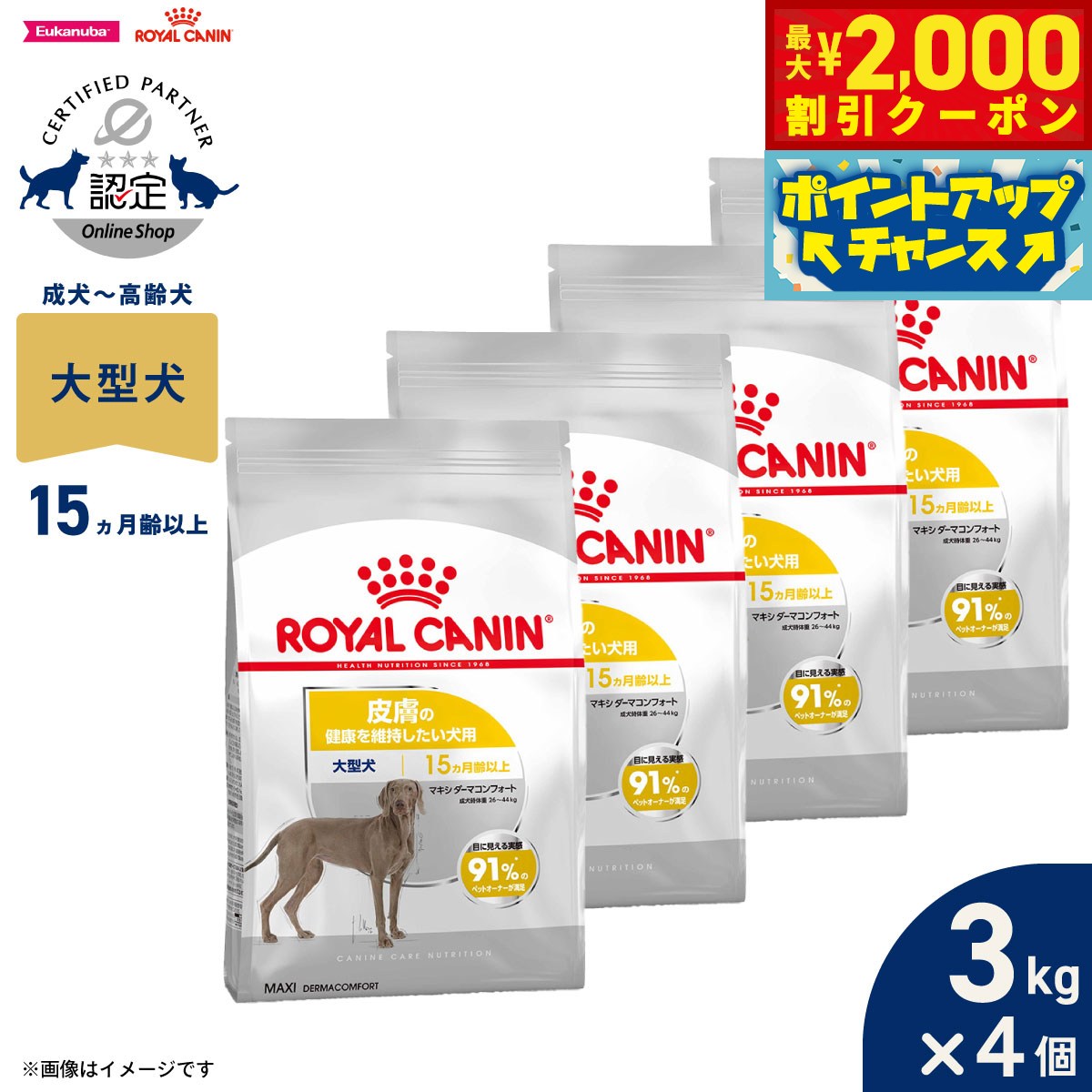 【最大2000円OFFクーポン！＆店内ポイント最大52倍！本日限定！】ロイヤルカナン 犬 ドッグフード ケーナインケアニュートリション マキシ ダーマコンフォート 3kg×4個 正規品 皮膚の健康を維持したい犬用 大型犬専用 成犬～高齢犬用