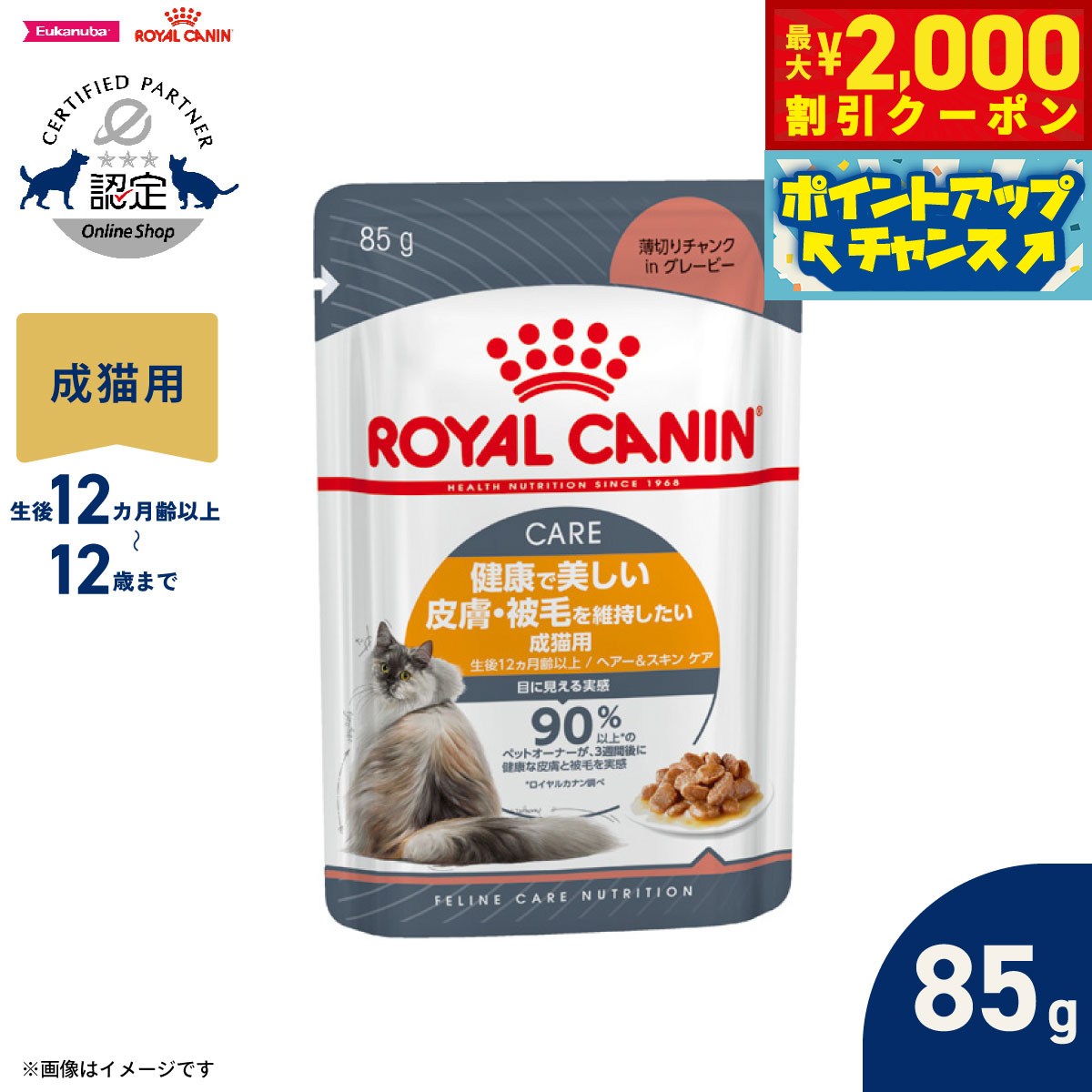 【最大2000円OFFクーポン！＆店内ポイント最大52倍！本日限定！】ロイヤルカナン 猫 キャットフード ウェットフード ヘアー＆スキン ケア グレービー 85g 正規品 健康で美しい皮膚 被毛を維持したい猫専用ウェットフード 成猫用