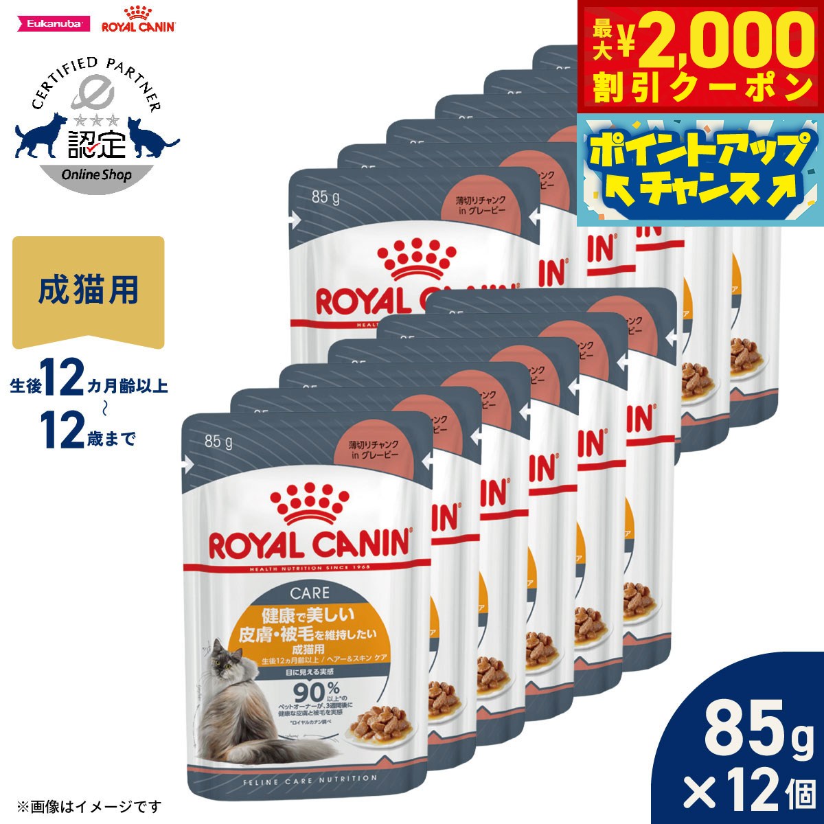 【最大2000円OFFクーポン！＆店内ポイント最大52倍！本日限定！】ロイヤルカナン 猫 キャットフード ウェットフード ヘアー＆スキン ケア グレービー 85g×12個 正規品 健康で美しい皮膚 被毛を維持したい猫専用ウェットフード 成猫用