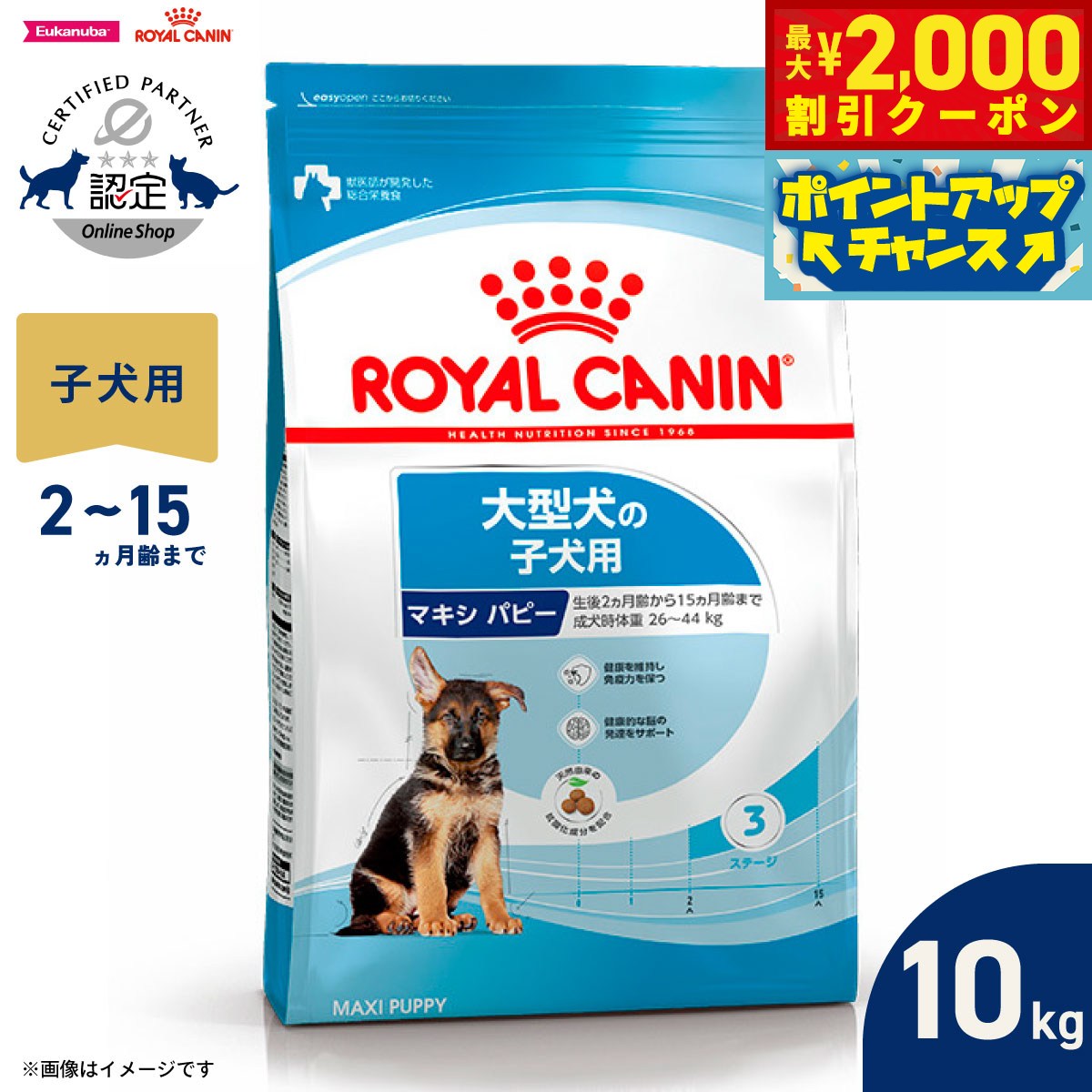 【最大2000円OFFクーポン！＆店内ポイント最大54倍！4月5日！】ロイヤルカナン 犬 ドッグフード サイズヘルスニュートリション マキシ パピー 10kg 正規品 大型犬専用フード 子犬用