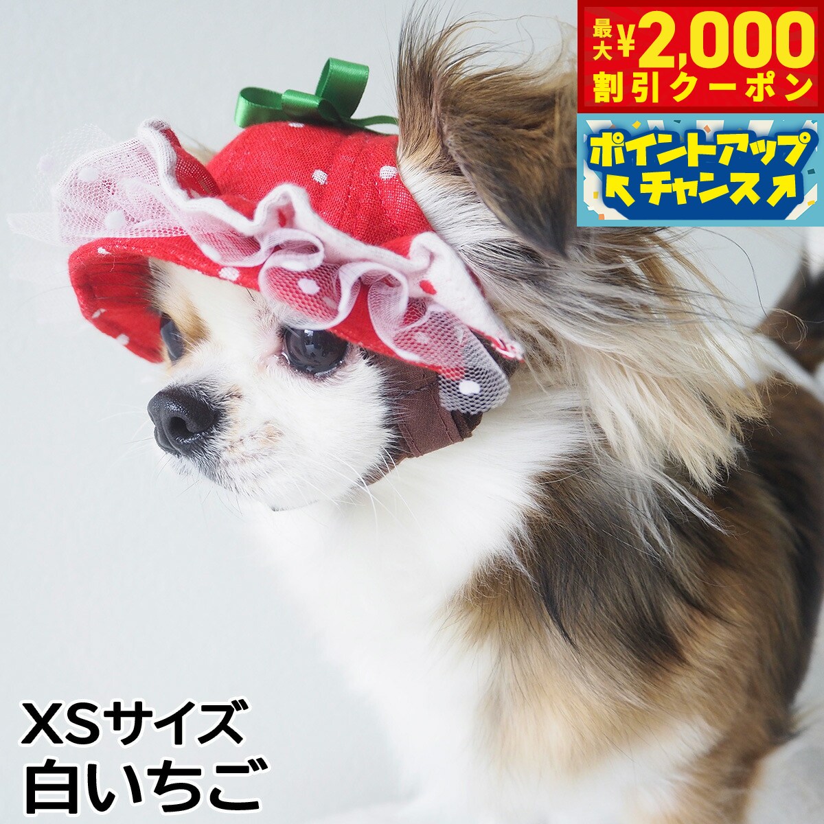 【最大2000円OFFクーポン！＆店内ポイント最大54倍！4月5日！】犬の帽子 ガーデンオブエデン いちごフリルハット XSサイズ 白いちご