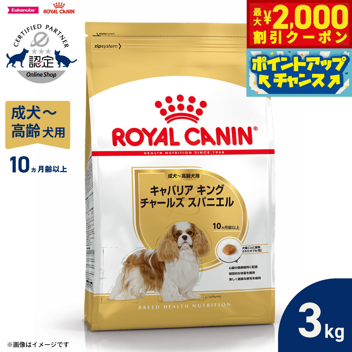 【最大2000円OFFクーポン！＆店内ポイント最大54倍！4月5日！】ロイヤルカナン 犬 ドッグフード ブリードヘルスニュートリション キャバリア キング チャールズ専用フード 成犬〜高齢犬用 3kg 正規品