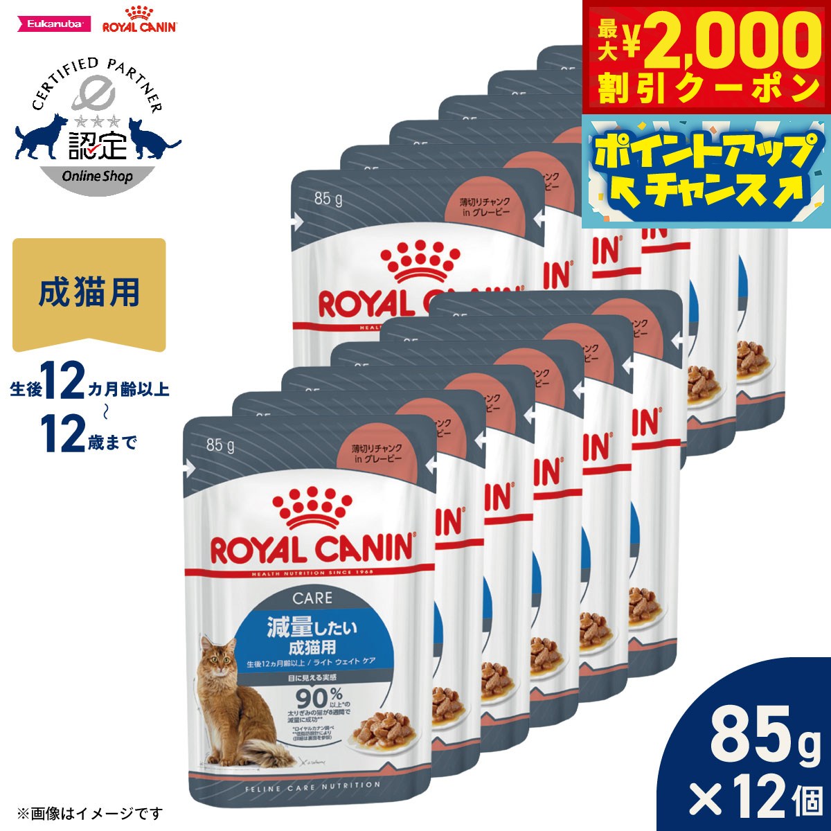 【最大2000円OFFクーポン！＆店内ポイント最大54倍！本日限定！】ロイヤルカナン 猫 キャットフード フィーラインケアニュートリション ウェットフード ライト ウェイト ケア 85g×12個 正規品 減量したい猫専用ウェットフード 成猫用