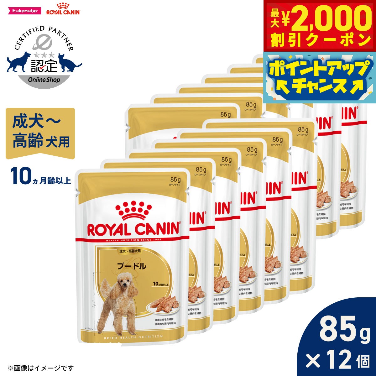 【最大2000円OFFクーポン！＆店内ポイント最大54倍！本日限定！】ロイヤルカナン 犬 ドッグフード ブリードヘルスニュートリション ウェット プードル専用ウェットフード 成犬〜高齢犬用 85g×12袋 正規品