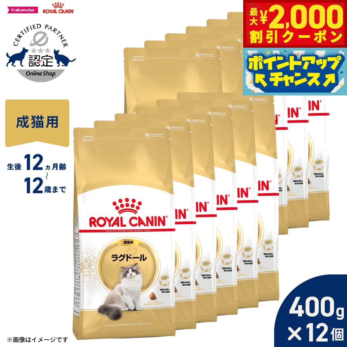 【最大2000円OFFクーポン！＆店内ポイント最大50倍！マラソン限定！】ロイヤルカナン 猫 キャットフード フィーラインブリードニュートリション ラグドール専用フード 成猫用 400g×12袋 正規品