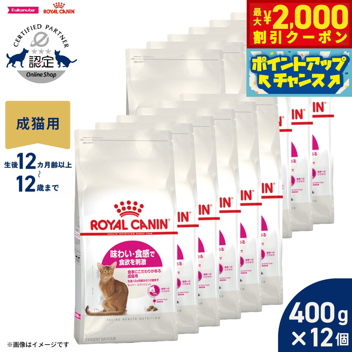 【最大2000円OFFクーポン！＆店内ポイント最大50倍！マラソン限定！】ロイヤルカナン 猫 キャットフード フィーラインヘルスニュートリション セイバーエクシジェント 400g×12袋 正規品 味わい・食感にこだわる猫専用フード 成猫用