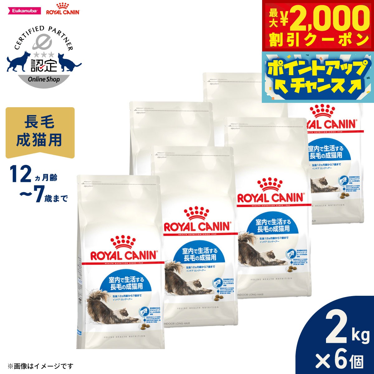 【最大2000円OFFクーポン！＆店内ポイント最大50倍！マラソン限定！】ロイヤルカナン 猫 キャットフード フィーラインヘルスニュートリション インドア ロングヘアー 2kg×6個 正規品 室内で生活する長毛の猫専用フード 成猫用