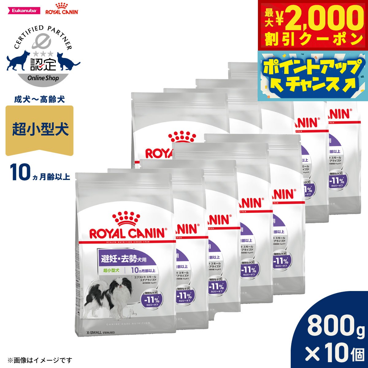 【最大2000円OFFクーポン！＆店内ポイント最大51倍！本日限定！】ロイヤルカナン 犬 ドッグフー ...