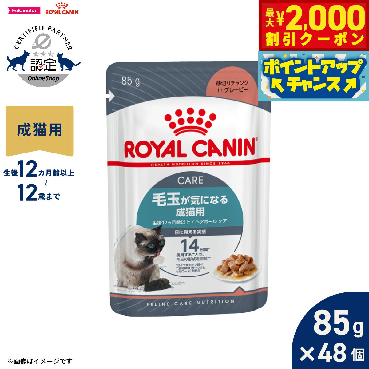 【最大2000円OFFクーポン！＆店内ポイント最大51倍！本日限定！】ロイヤルカナン 猫 キャットフード フィーラインケアニュートリション ウェットフード ヘアボールケア 85g×48個 正規品 毛玉が気になる猫専用フード 成猫用