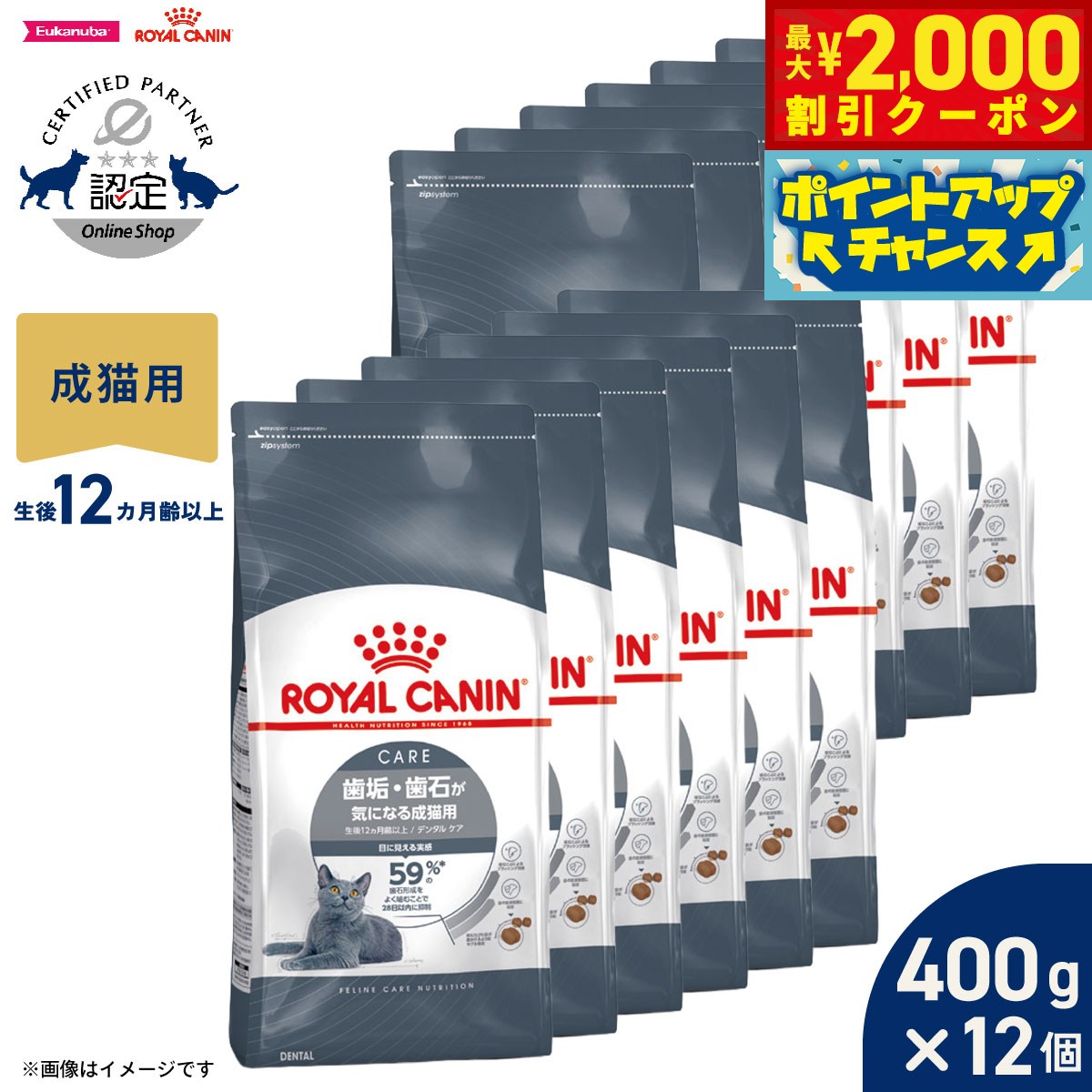 【最大2000円OFFクーポン！＆店内ポイント最大50倍！マラソン限定！】ロイヤルカナン 猫 キャットフード フィーラインケアニュートリション デンタルケア 400g×12袋 正規品 歯垢・歯石が気になる猫専用フード 成猫用