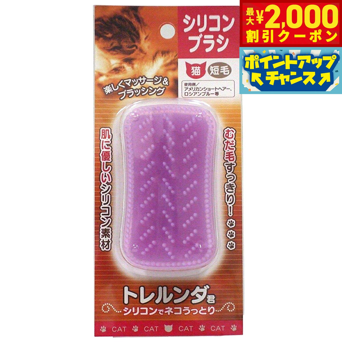 �ں���2000��OFF�����ݥ󡪡�Ź��ݥ���Ⱥ���50�ܡ��ޥ饽����ꡪ�ۥȥ������ ���ꥳ��֥饷 ǭ�� û��