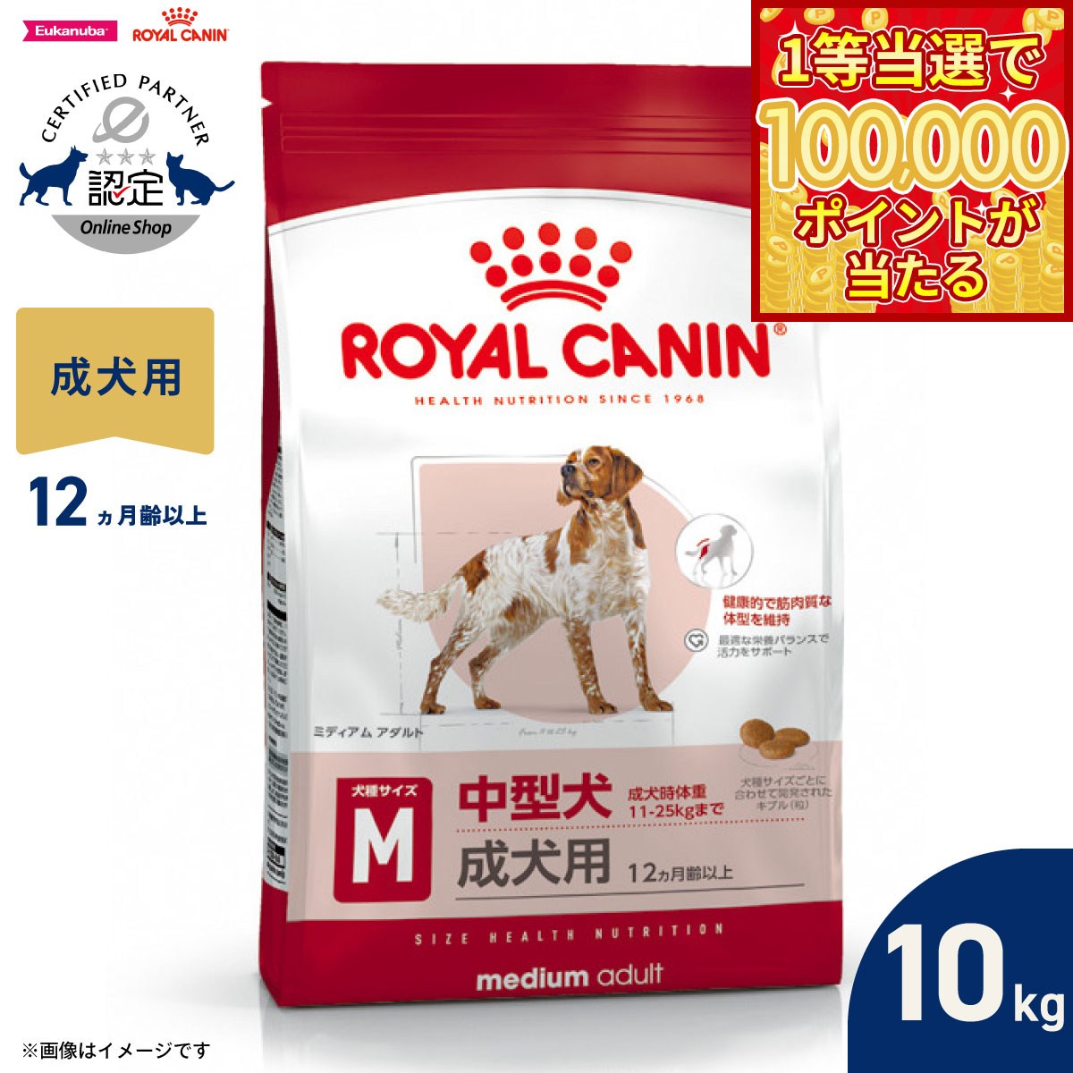  CANIN 中型犬　ミディアムアダルト サイズ ヘルス ニュートリション ロイヤルカナン SHN ミディアム