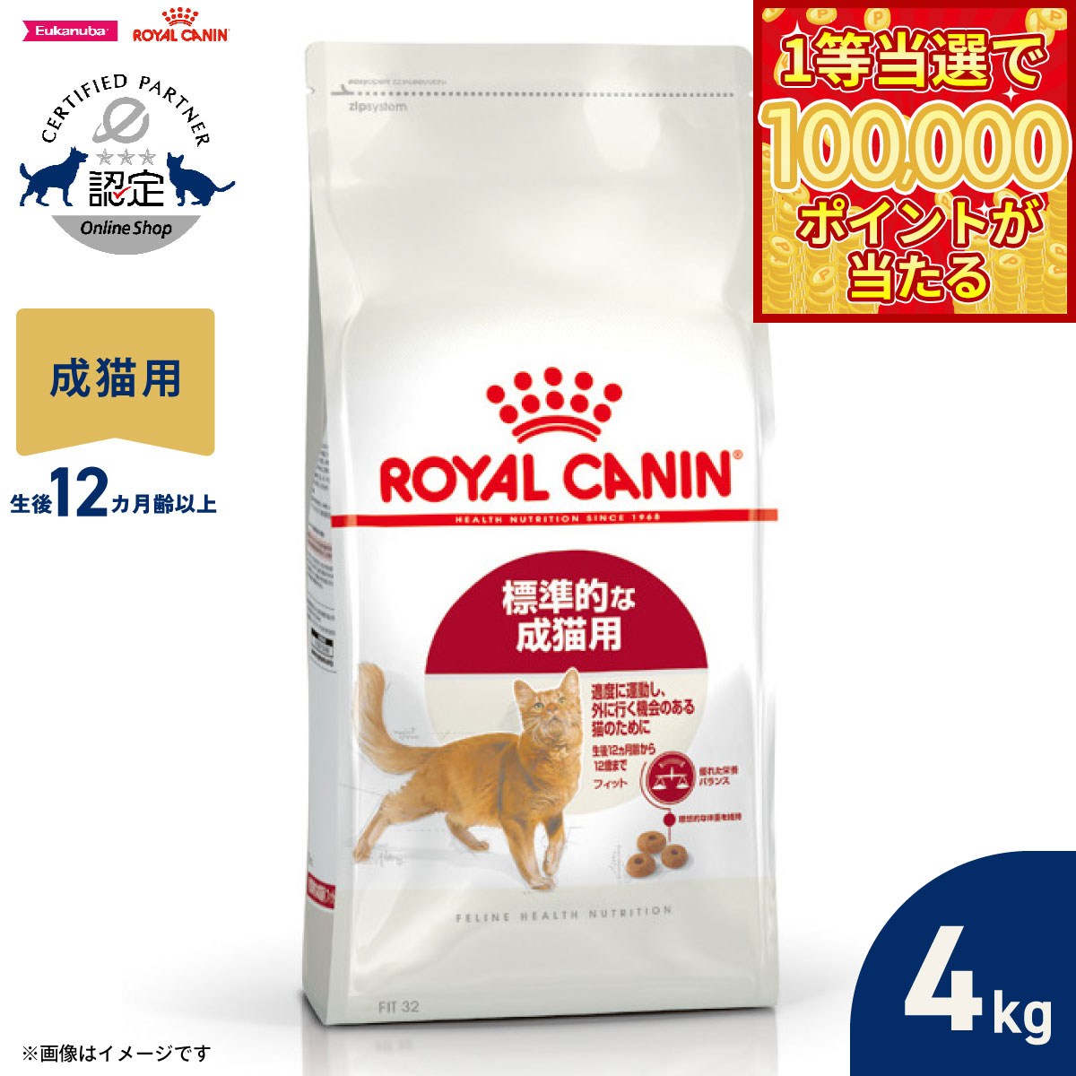 Royal Canin - 【1等最大10万ポイント当たる！20日から！】ロイヤルカナン 猫 キャットフード フィーラインヘルスニュートリション フィット 4kg 正規品 適度に運動をする猫専用フード 成猫用