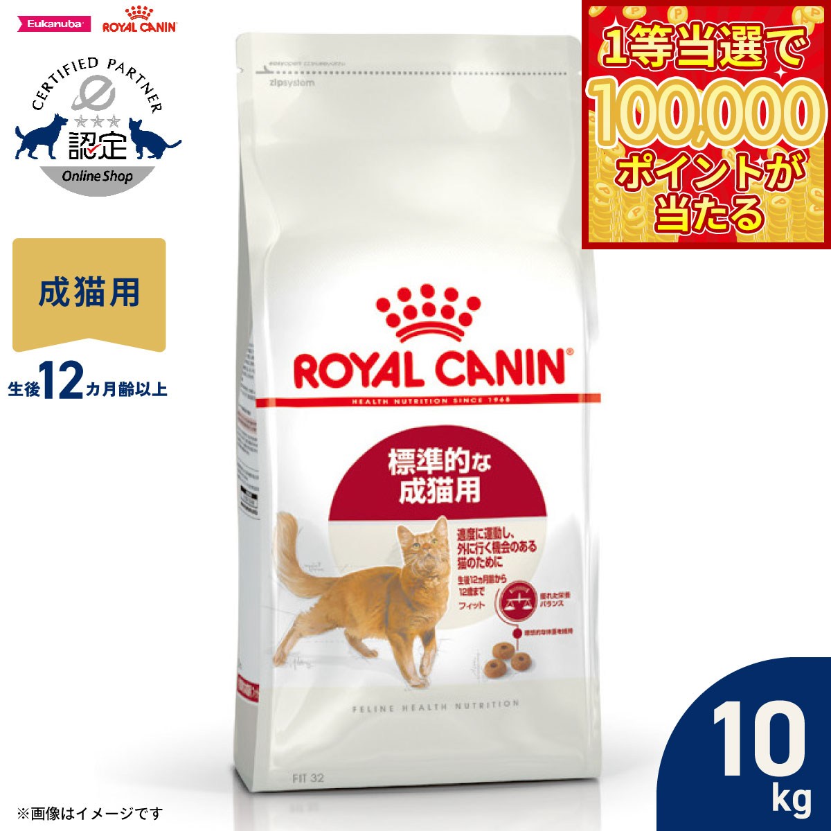 【1等最大10万ポイント当たる！20日から！】ロイヤルカナン 猫 キャットフード フィーラインヘルスニュートリション フィット 10kg 正規品 適度に運動をする猫専用フード 成猫用