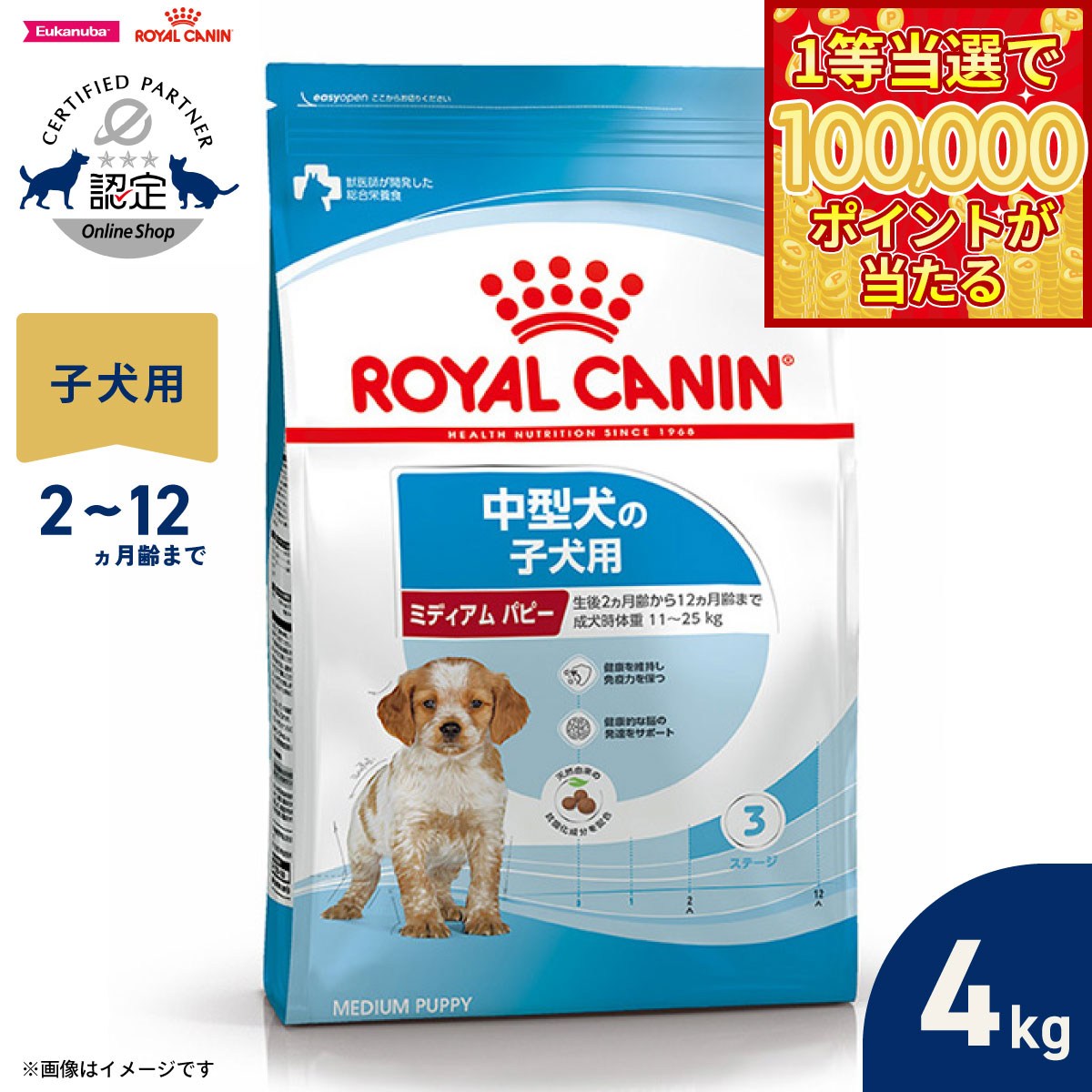 ☆ロイヤルカナン ミディアムパピー 16kg☆ 生後12ヶ月齢まで 中型犬