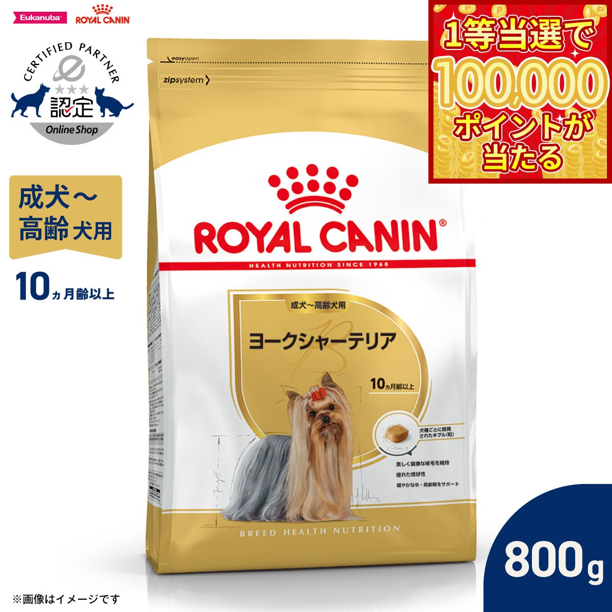【1等最大10万ポイント当たる！20日から！】ロイヤルカナン 犬 ドッグフード ブリードヘルスニュートリション ヨークシャーテリア専用フード 成犬〜高齢犬用 800g 正規品