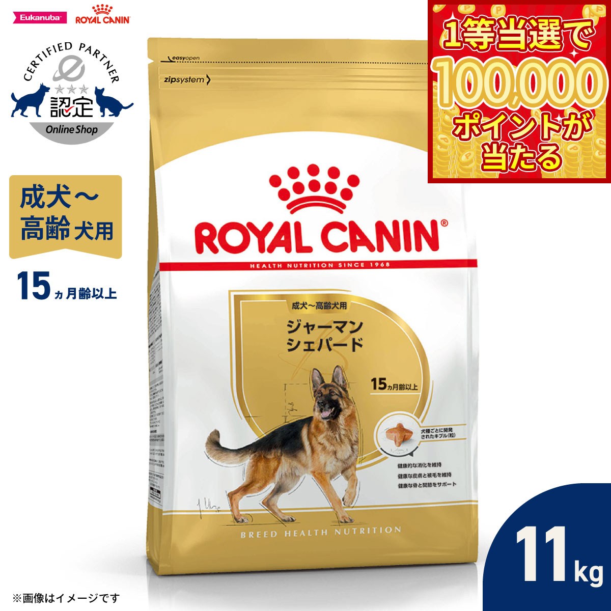 【当店限定Wイベント！最大2000円OFFクーポン＆1等最大10万ポイント】ロイヤルカナン 犬 ドッグフード ブリードヘルスニュートリション ジャーマンシェパード専用フード 成犬〜高齢犬用 11kg 正規品