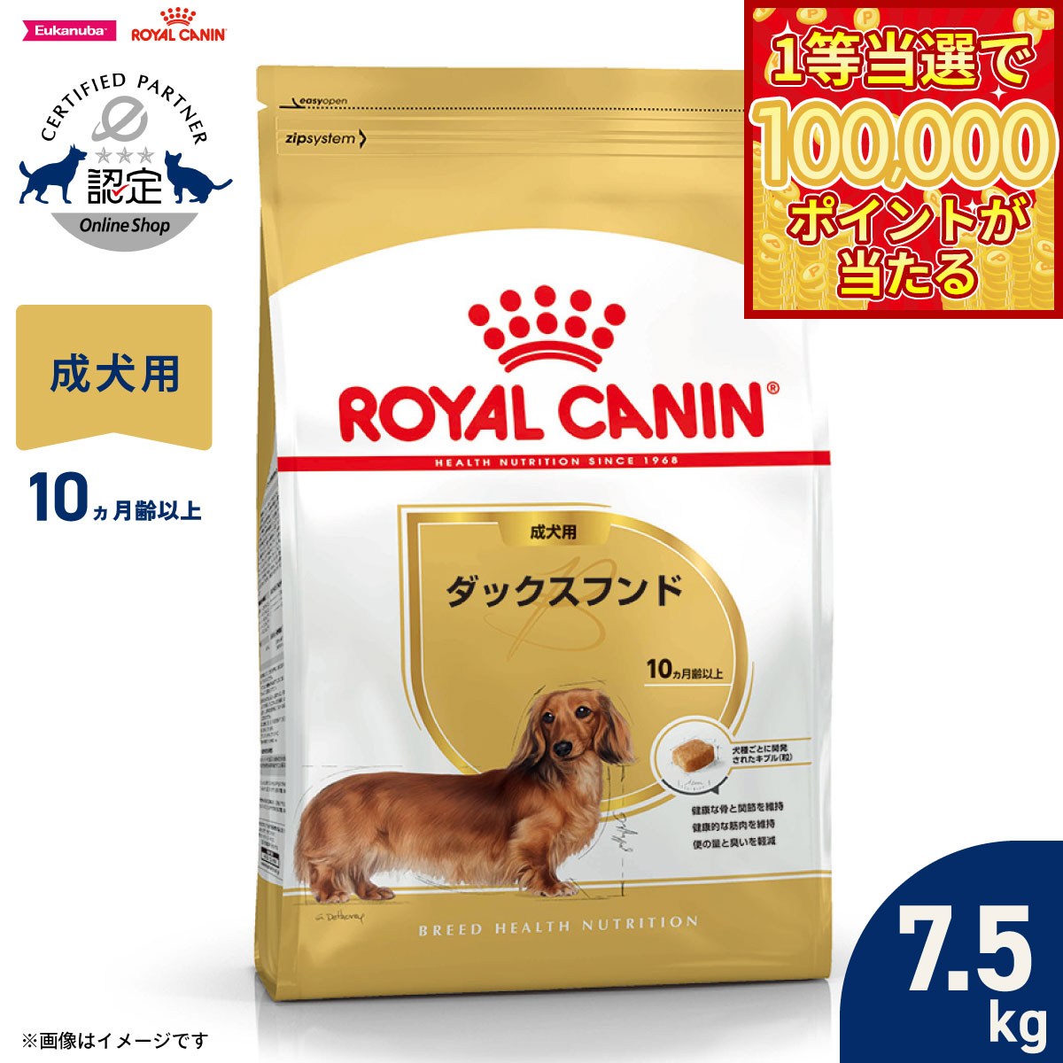 【1等最大10万ポイント当たる！20日から！】ロイヤルカナン 犬 ドッグフード ブリードヘルスニュートリション ダックスフンド専用フード 成犬用 7.5kg 正規品
