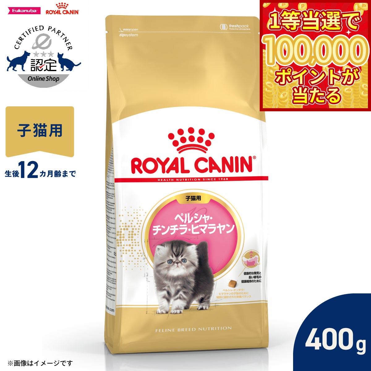 Royal Canin - 【当店限定Wイベント！最大2000円OFFクーポン＆1等最大10万ポイント】ロイヤルカナン 猫 キャットフード フィーラインブリードニュートリション ペルシャ チンチラ ヒマラヤン専用フード 子猫用 400g 正規品