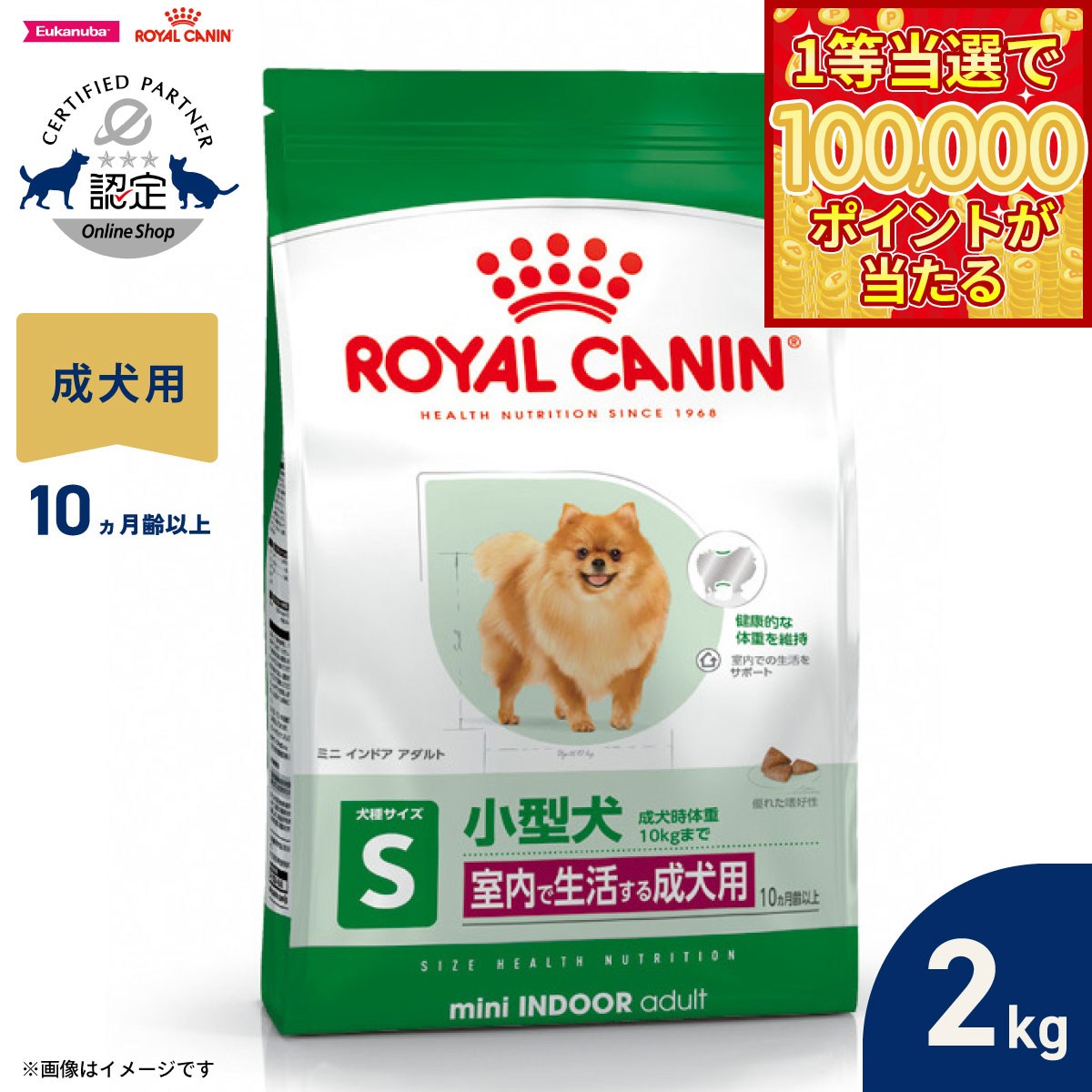 【1等最大10万ポイント当たる!20日から!】ロ...の商品画像