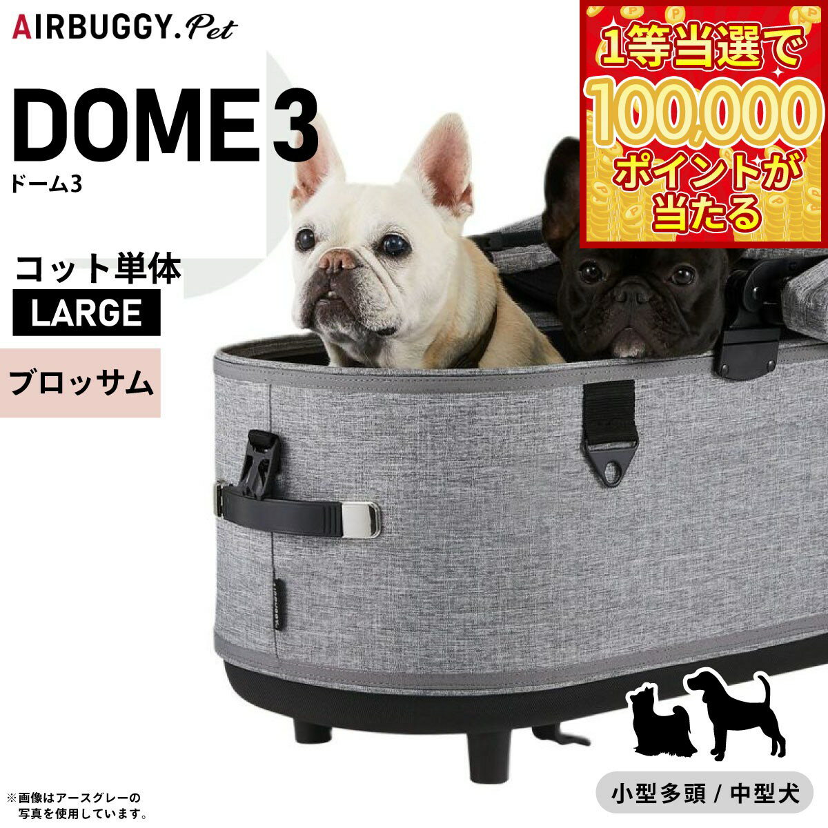 【1等最大10万ポイント当たる!31日まで!】エ...の商品画像