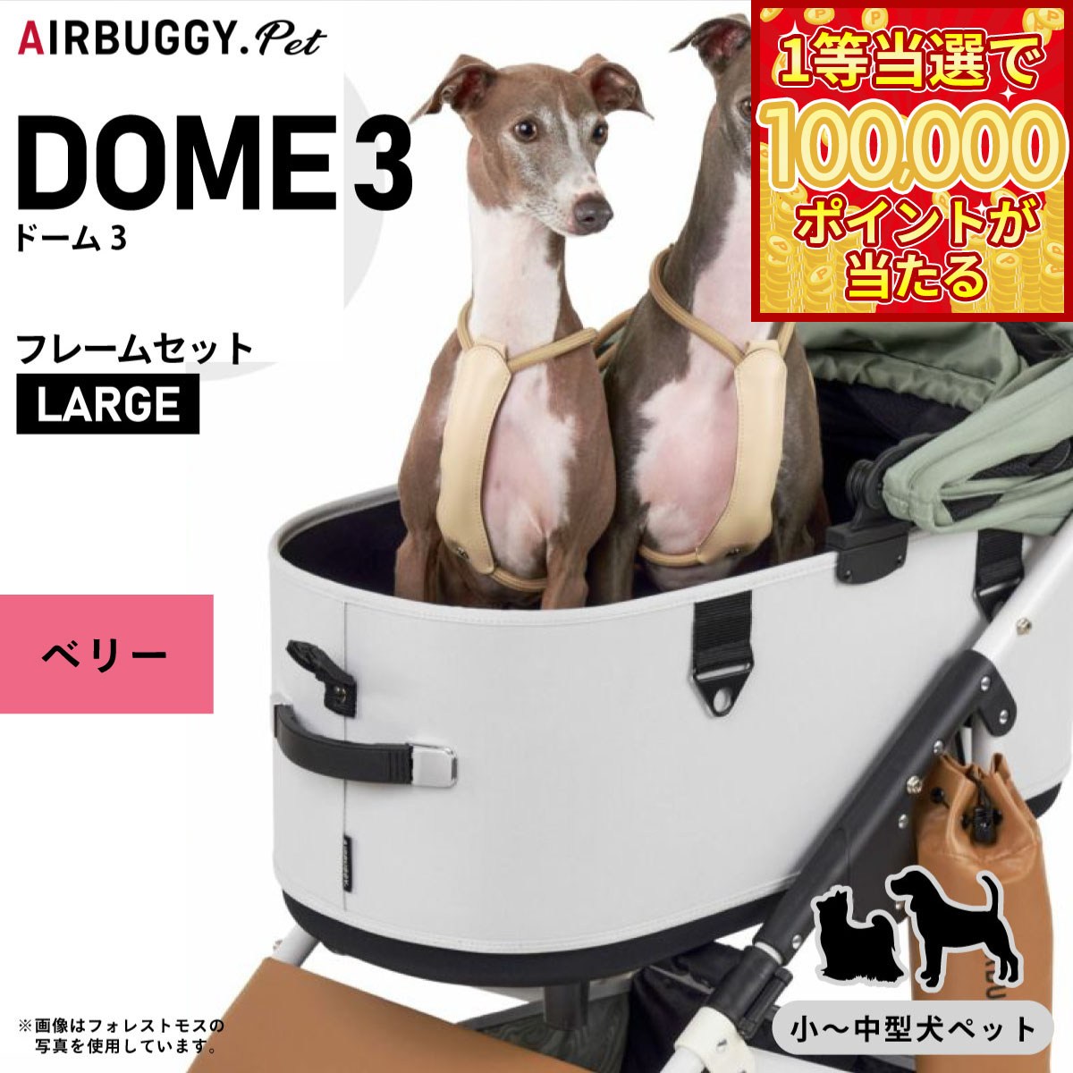【1等最大10万ポイント当たる!31日まで!】エ...の商品画像