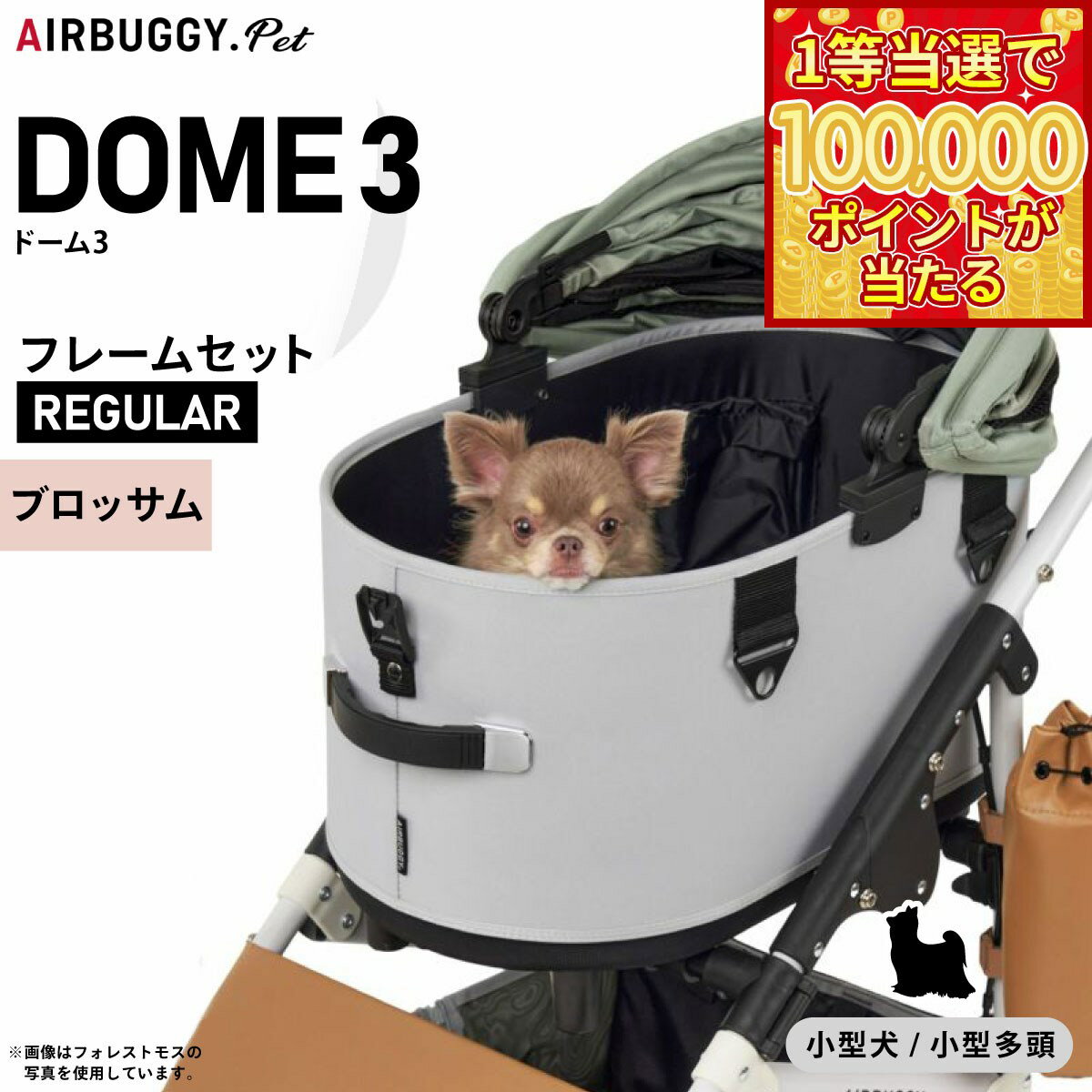 【1等最大10万ポイント当たる!31日まで!】エ...の商品画像