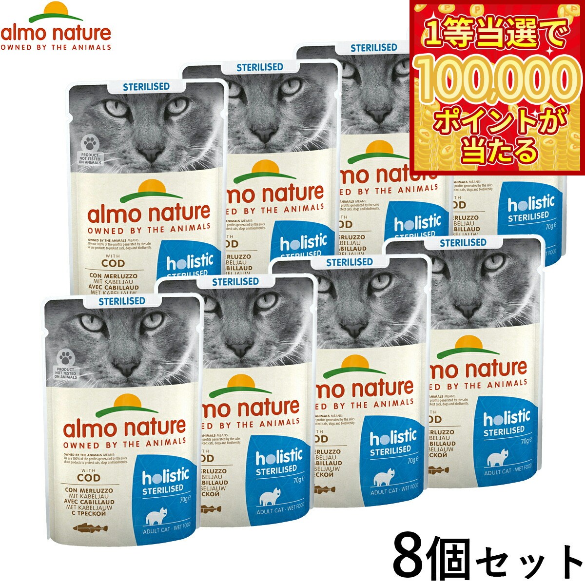 ��1������10���ݥ���������롪20�����顪�ۥ����ͥ����㡼 ����åȥա��� �ե��󥯥���ʥ� ��ǥ ������ ��������Τ����� 70g��8�ĥ��å� ǭ �����åȥա��� �ѥ��� ������ܿ� ��ǭ�� ��ǭ